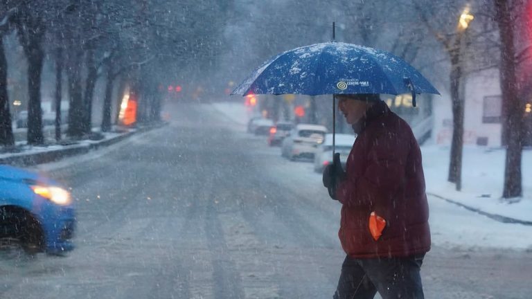 Winter is not over: gray weather, rain and snow expected during the weekend