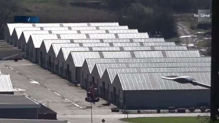 a platoon of a Belgian battalion disbanded after acts of violence and humiliation