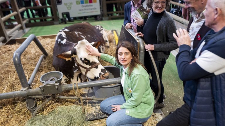 an almost trouble-free visit for environmentalists to the Agricultural Show