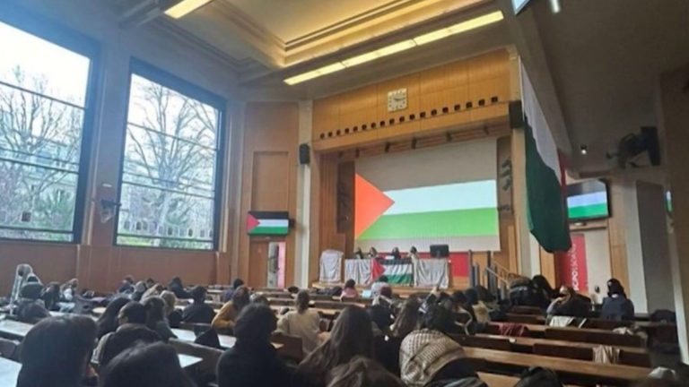 controversy erupts after pro-Palestine demonstration