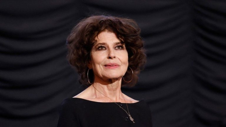 discomfort on the set of “Quotidien” when Fanny Ardant talks about “Anatomy of a Fall” by Justine Triet