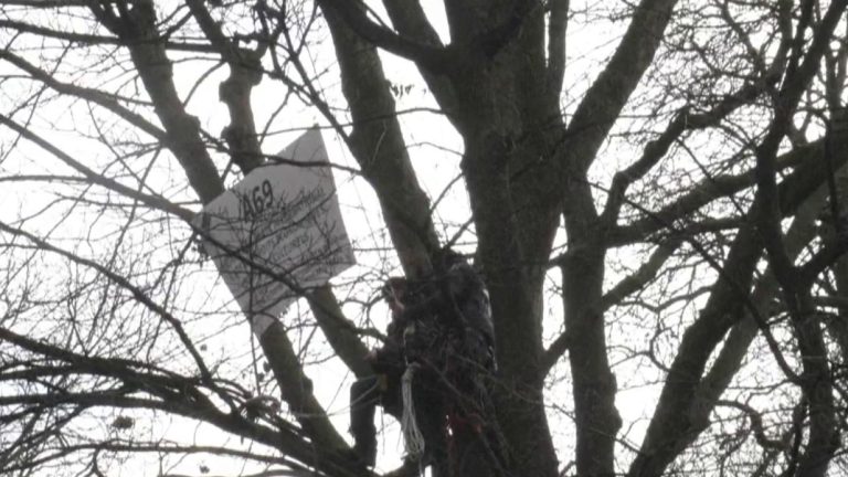 environmentalists from Tarn demonstrate in Brussels against the A69 motorway project