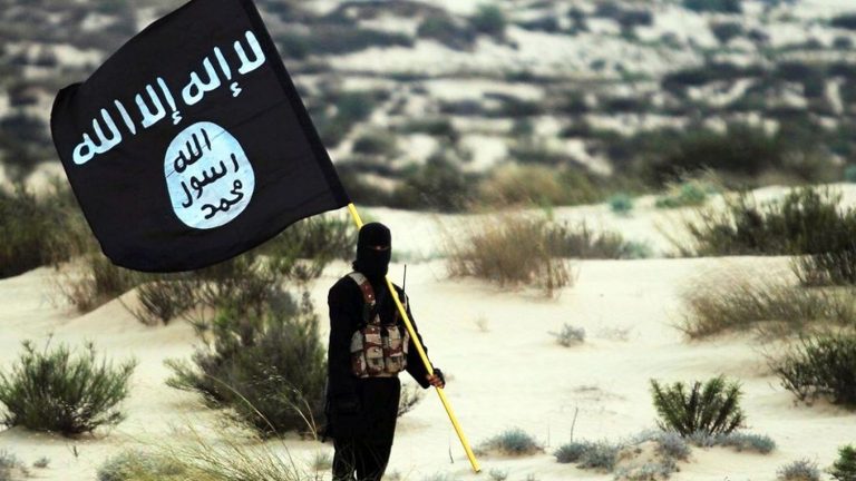 franceinfo junior.  What is the Islamic State?