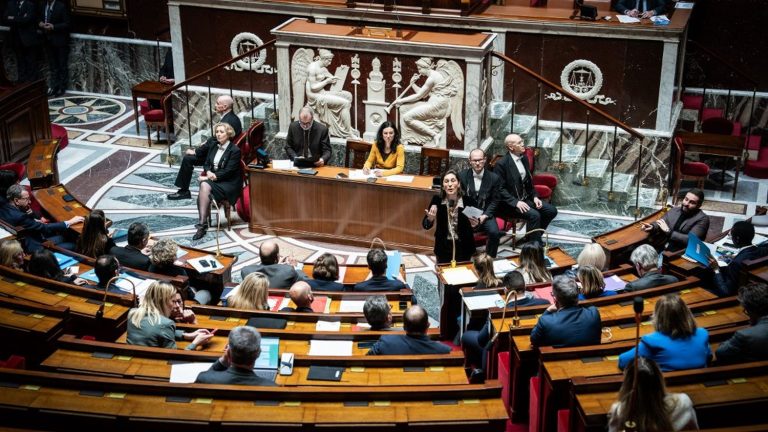 heated debates in the National Assembly during the examination of the bill