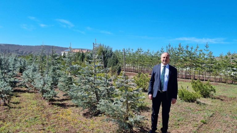 how French and Turkish scientists work together on tree adaptation