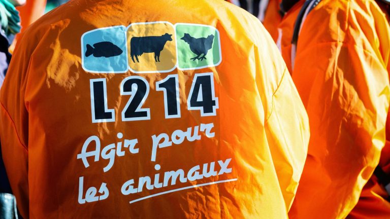 how the L214 association has become essential in the fight against animal abuse