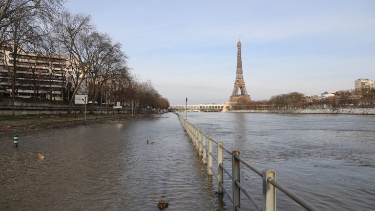 in flood, the color of the Seine turns brown