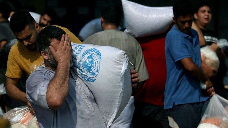 in the north of Gaza, the chaotic delivery of humanitarian convoys