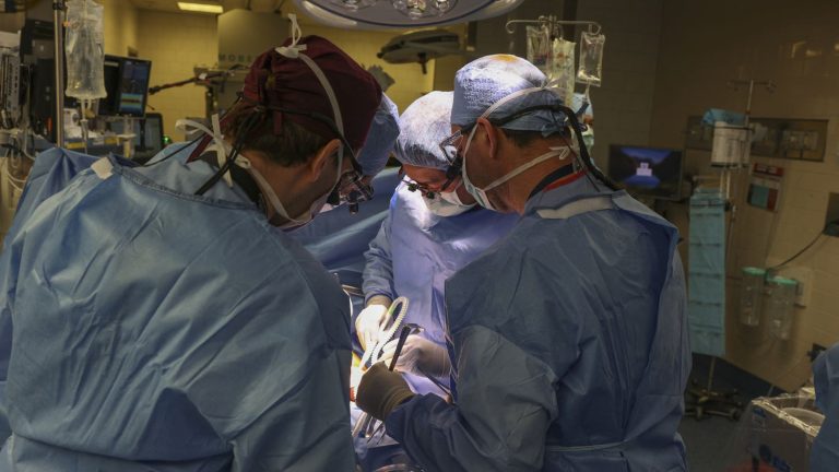 “it’s an extremely important date”, assures a transplant specialist