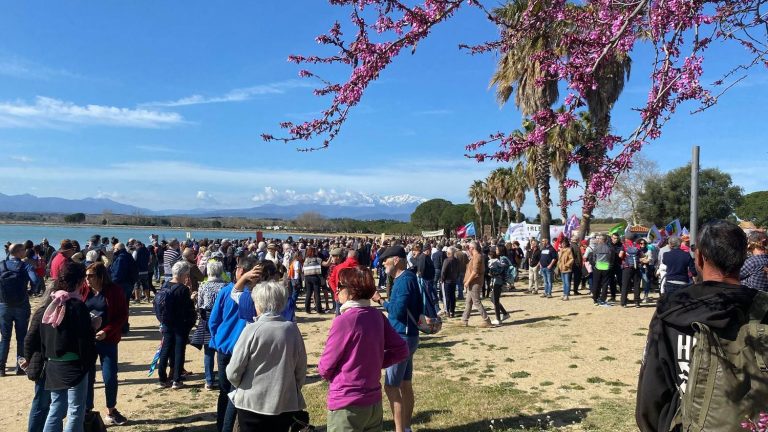 thousands of demonstrators in Villeneuve-de-la-Raho to denounce a golf project