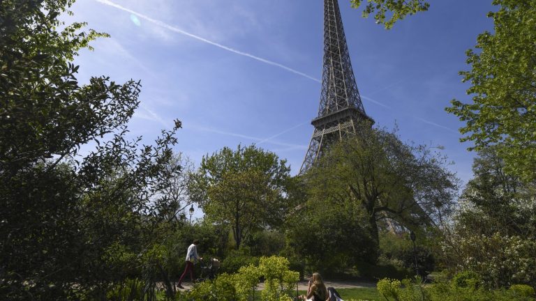 the Champ-de-Mars puppeteer will finally be able to return to his theater after the Olympic and Paralympic Games