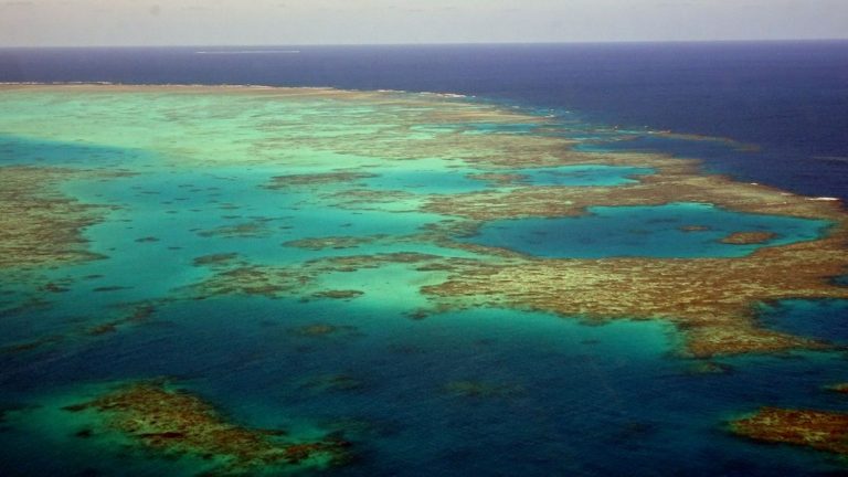 the Great Barrier Reef is undergoing a new episode of “mass bleaching”