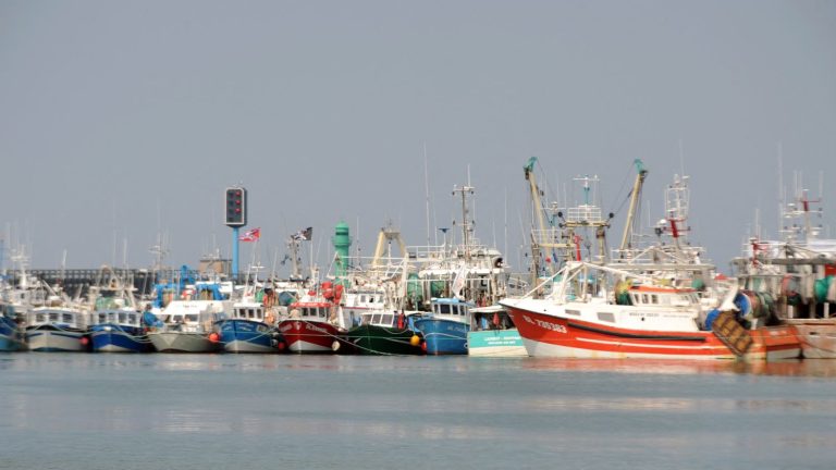 the Hauts-de-France regional fisheries committee calls for “retaliatory measures”