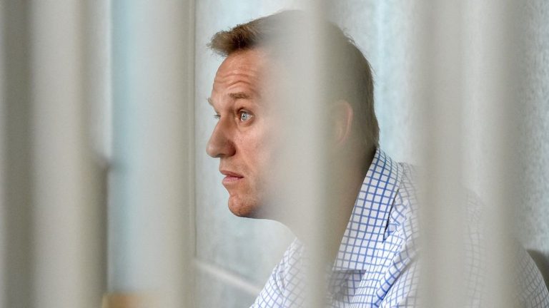 the documentary “Navalny”, awarded the Oscars in 2023, broadcast on France 5