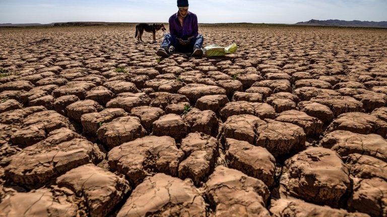 visualize the “exceptional” heat wave recorded on the African continent