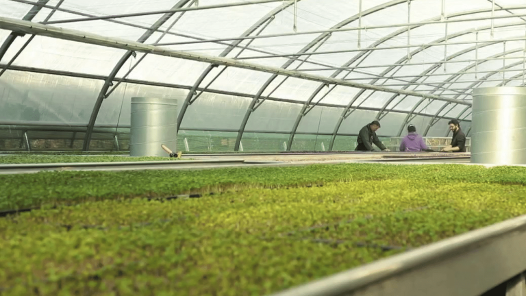 water to heat greenhouses with solar energy