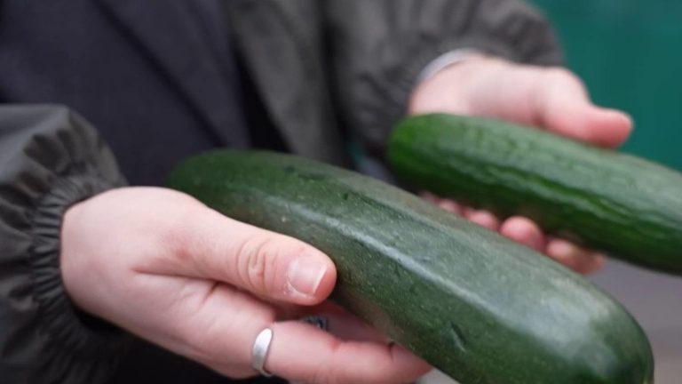 when young people confuse cucumber and zucchini