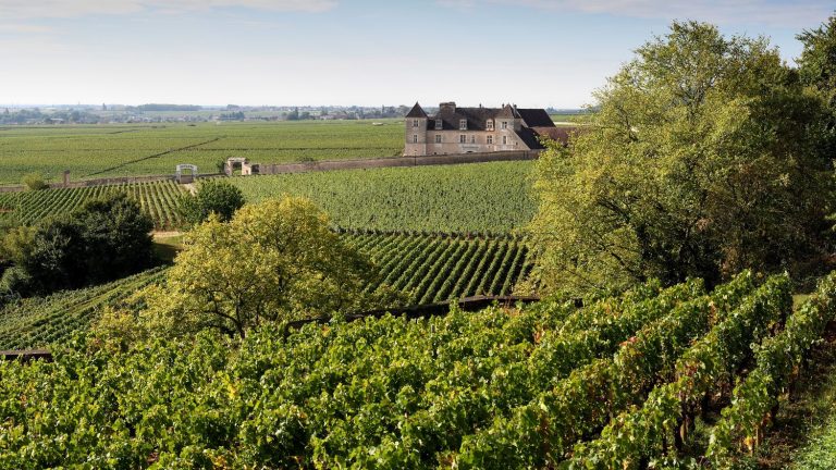 will European vineyards still be able to produce quality wine?