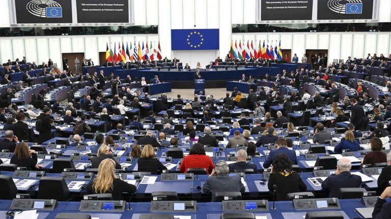 9 MEPs answer your questions from the European Parliament