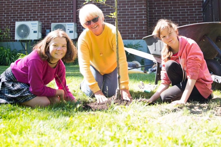 A tree for my neighborhood |  Growing the Montreal canopy