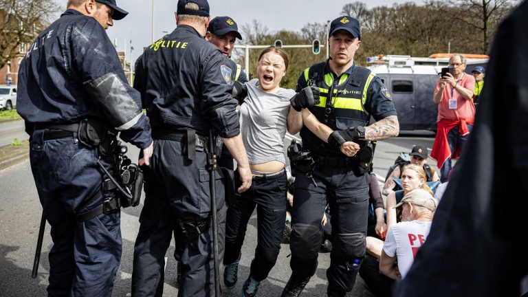 Activist Greta Thunberg arrested during environmental protest in Netherlands