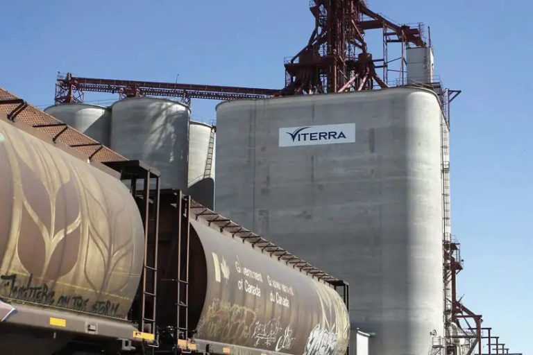 Agriculture |  Competition Bureau raises concerns over Bunge’s purchase of Viterra