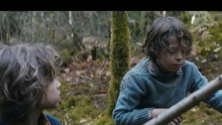 “Brothers”, the true story of a childhood spent in the forest