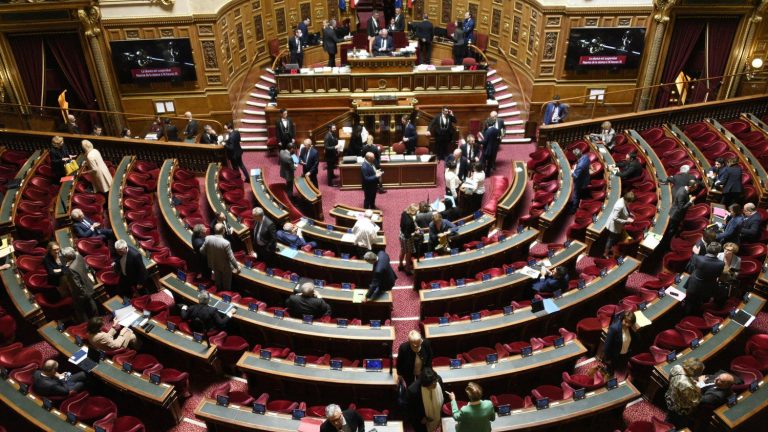 Centrist senators attack the decree canceling ten billion euros of credits before the Council of State