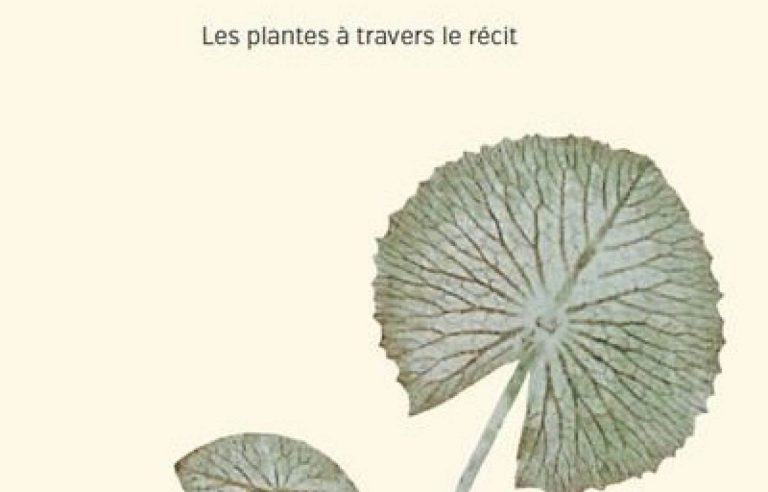 Cultural suggestion: “Moving and moving.  Plants through story”, the dance of plants