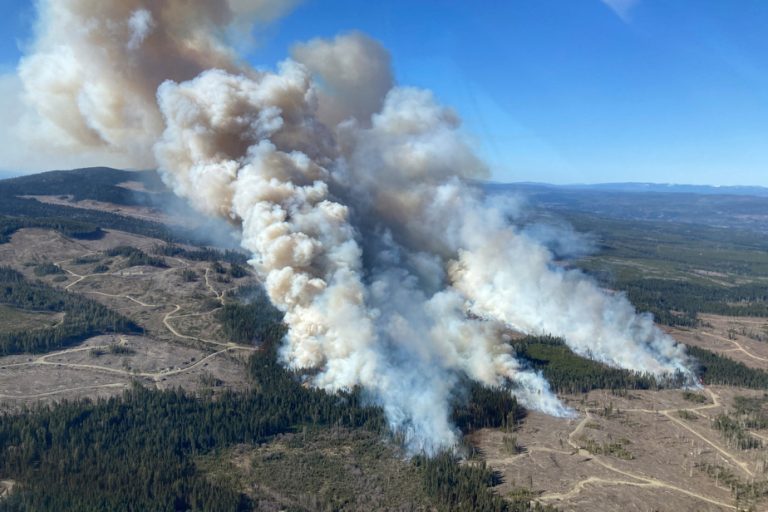 Forest fires |  Evacuation alerts in Alberta and British Columbia