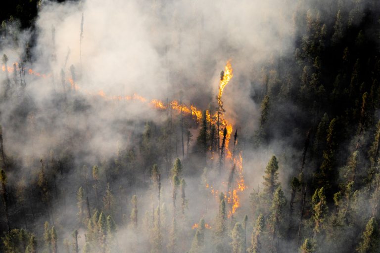 Forest fires in Canada |  Fires in 2023 never went out