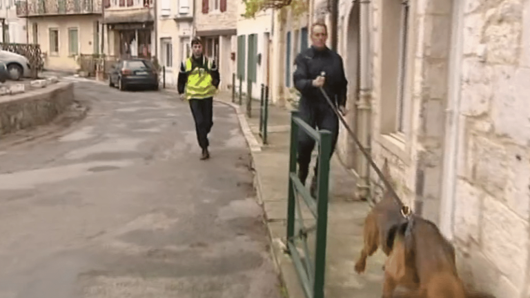 Gendarmerie: training elite dogs