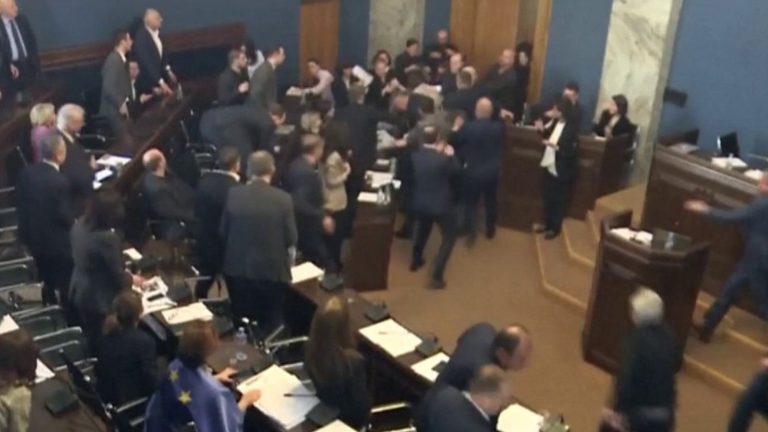 Georgian MPs fight in Parliament