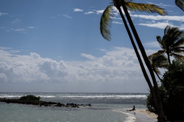 Guadeloupe |  Coastal development put to the test of erosion that is already very present