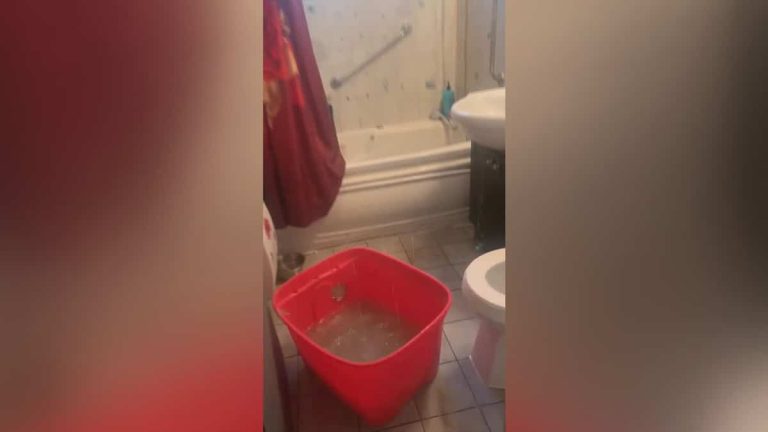 “It’s disgusting”: $1,800 per month to live in extreme unsanitary conditions in Montreal