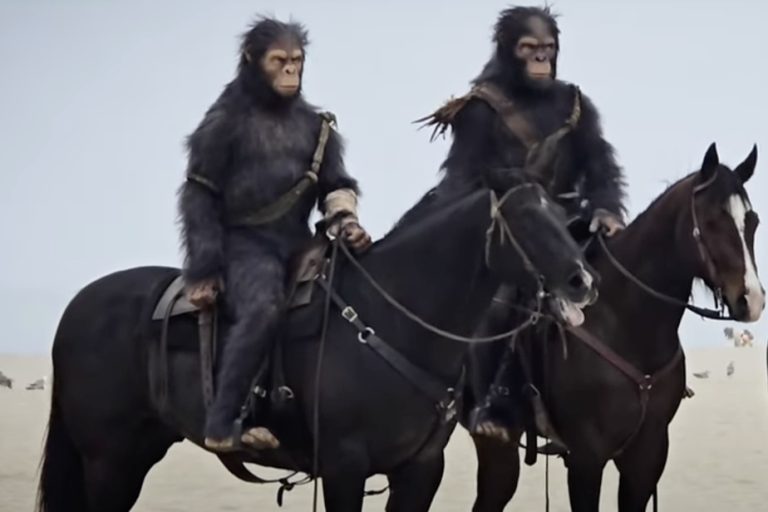 Kingdom of the Planet of the Apes |  Monkeys riding on the beach in California