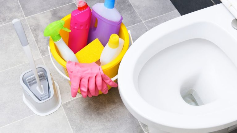 New alert on bacteria expelled by flushing toilets