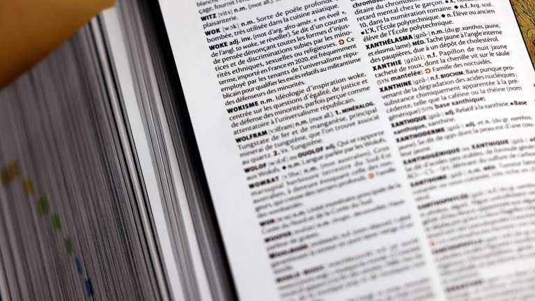 New words, francization, usage… How dictionaries sort through their new editions