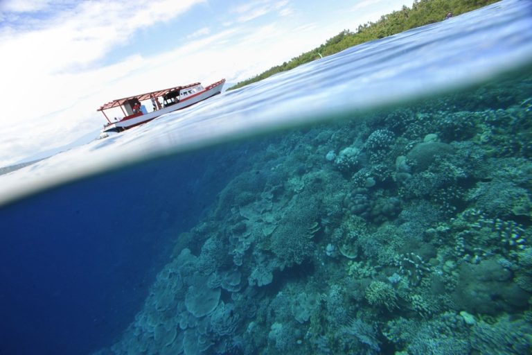 Ocean warming |  Scientists sound the alarm