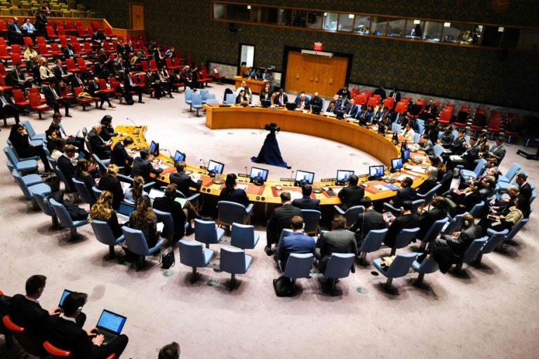 Palestinian accession to the UN |  “No consensus” within the Security Council