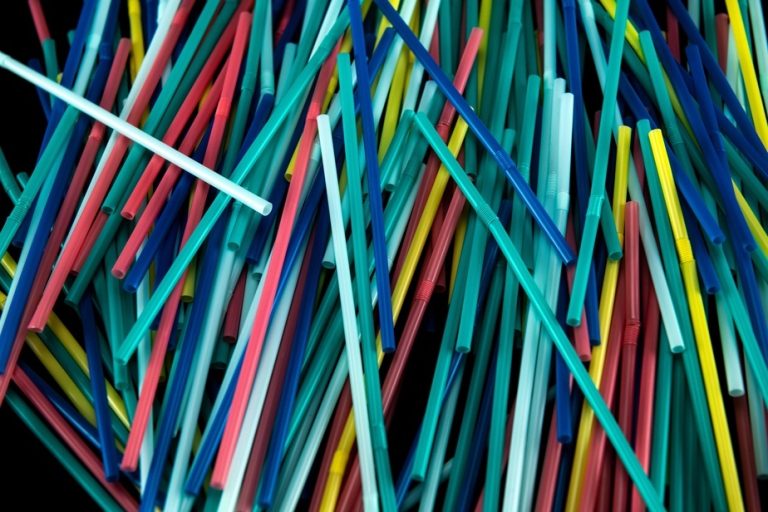 Plastic Pollution Summit |  Conservatives launch petition to “save plastic straws”