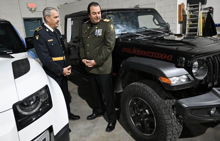 Police recovered 598 stolen vehicles at the Port of Montreal, mostly in Ontario