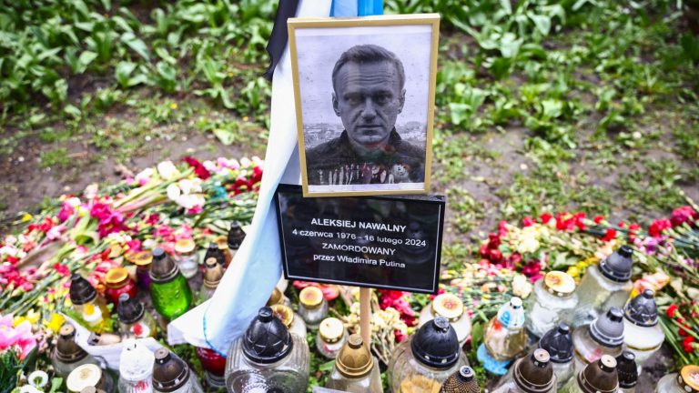 Posthumous memoirs by Russian opponent Alexeï Navalny will be released in October