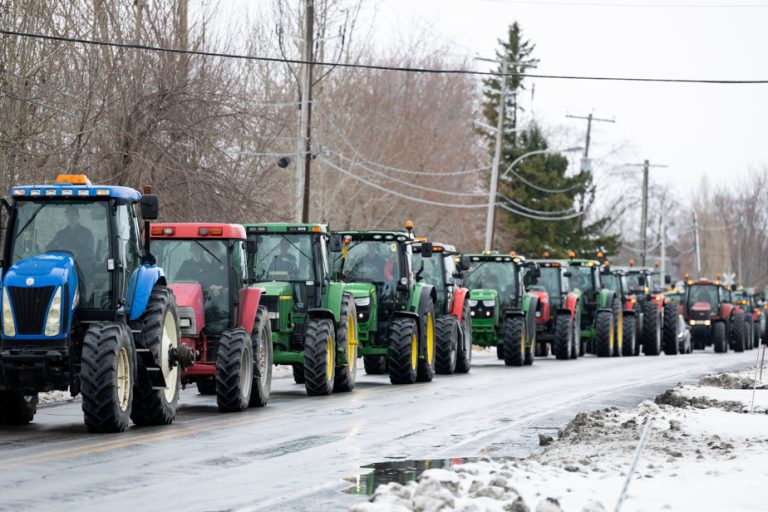 QS asks Quebec to create an emergency fund for farmers