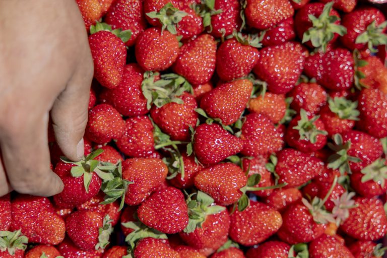 Retail |  Local strawberries sold under an American brand