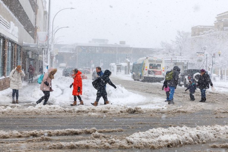 Snowstorm |  “We’re not in Cuba!”  »