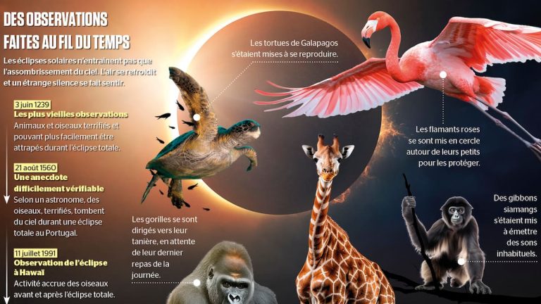 Take advantage of the eclipse to study animal behavior