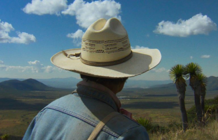 “The White Guard”: defending the environment at the risk of your life