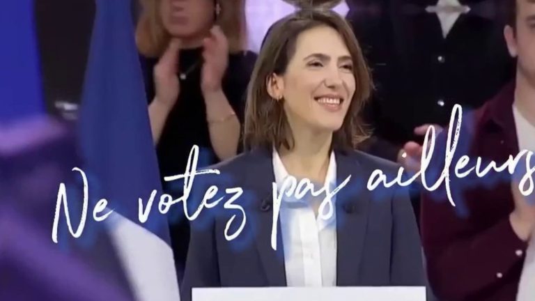 Valérie Hayer, victim of artificial intelligence in her campaign