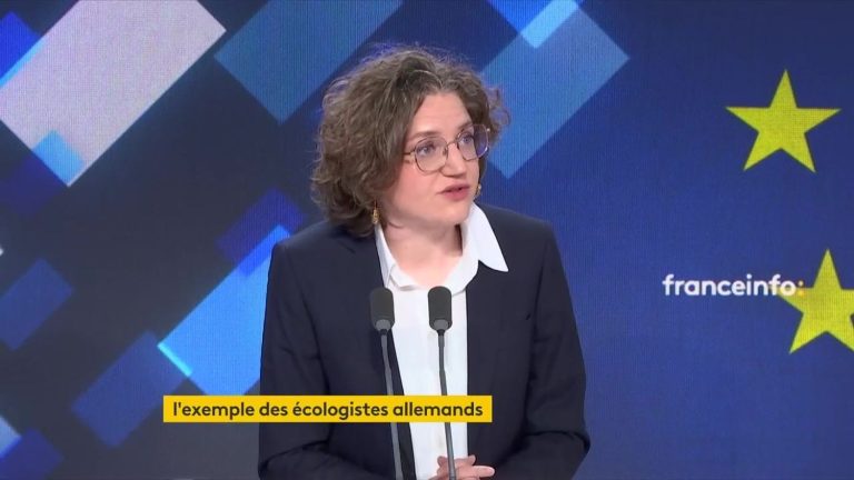 “We must force countries that refuse to welcome migrants to do so,” argues the head of the environmentalist list Marie Toussaint